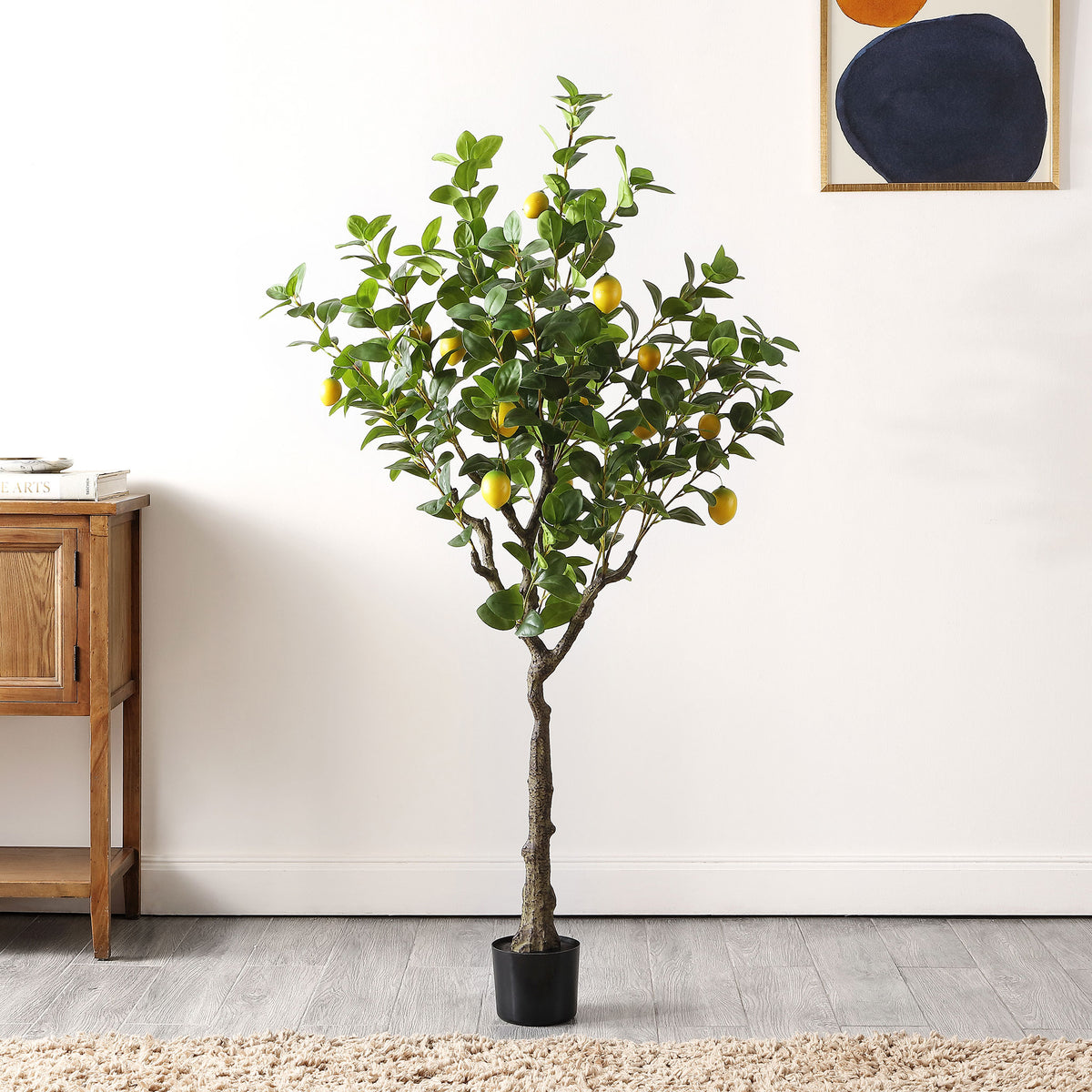 A lemon tree adds fresh green foliage and yellow fruit to a living space.
