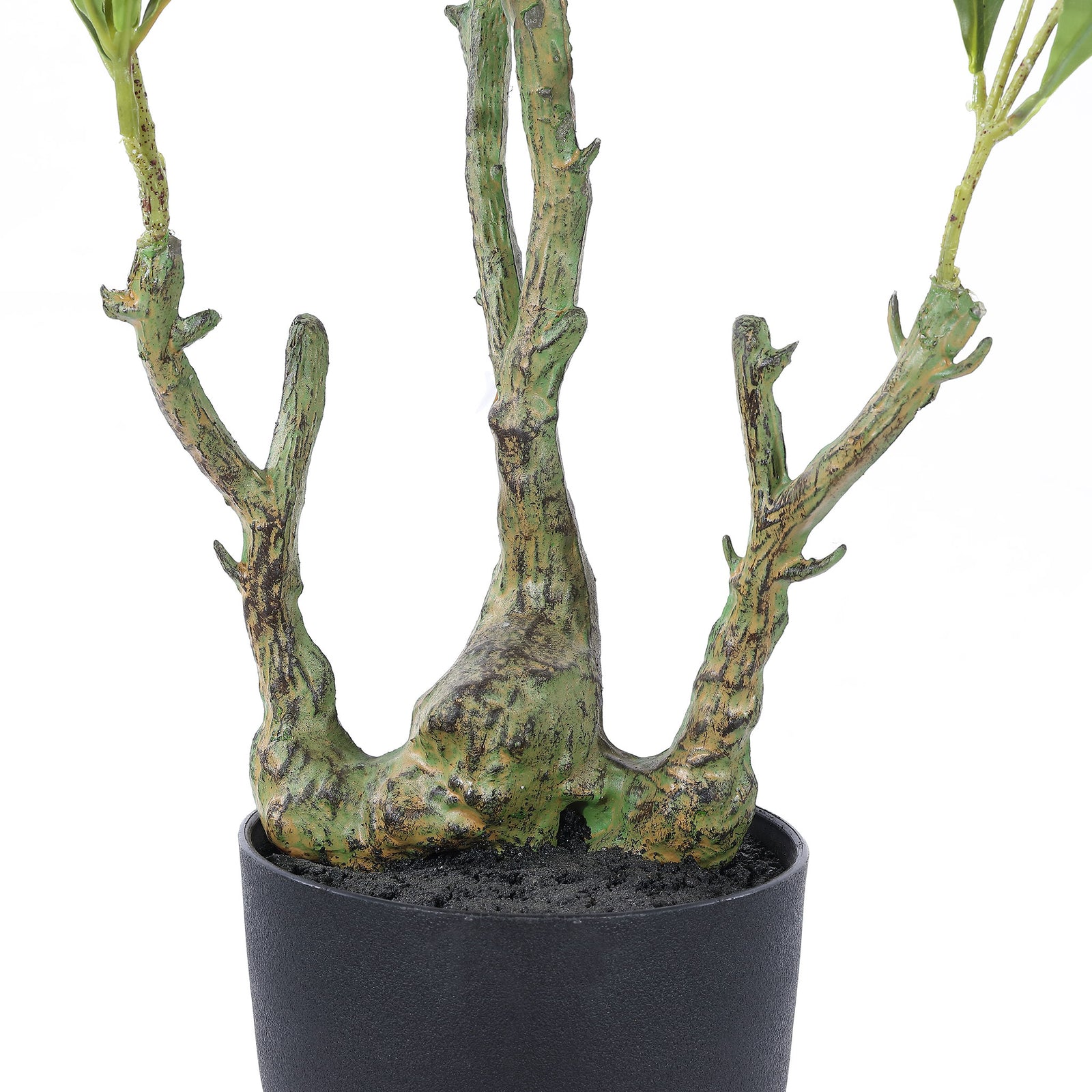 Gnarled roots rise above the rim of a compact black planter. || FXP2012A || leg_studio