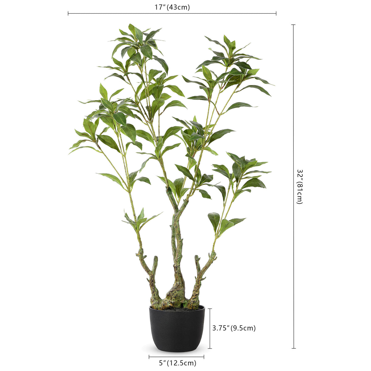A branching potted plant stands 32 inches tall. || FXP2012A || dimension_studio