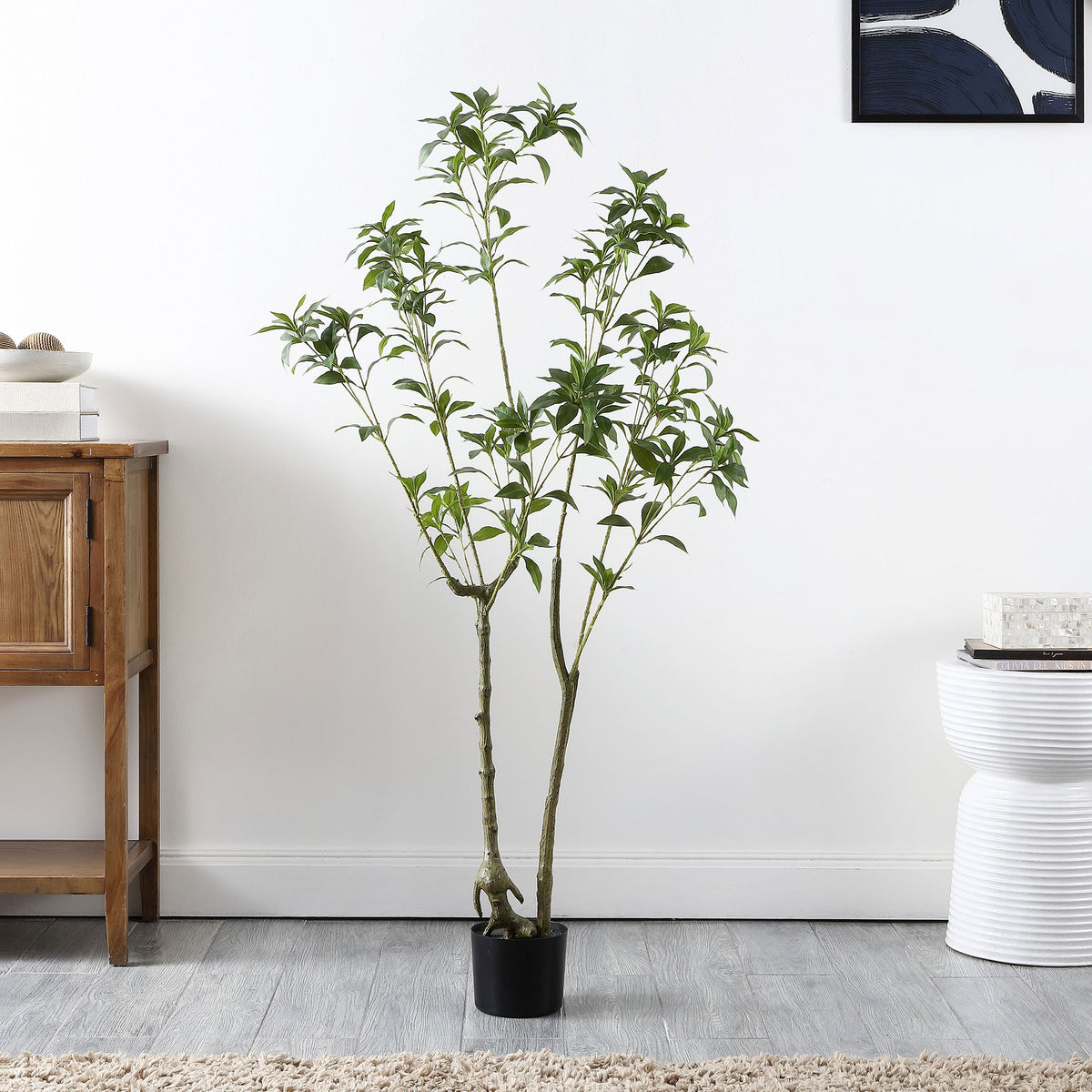 A light, leafy tree adds vertical greenery to a living room. || FXP2013A || front_room