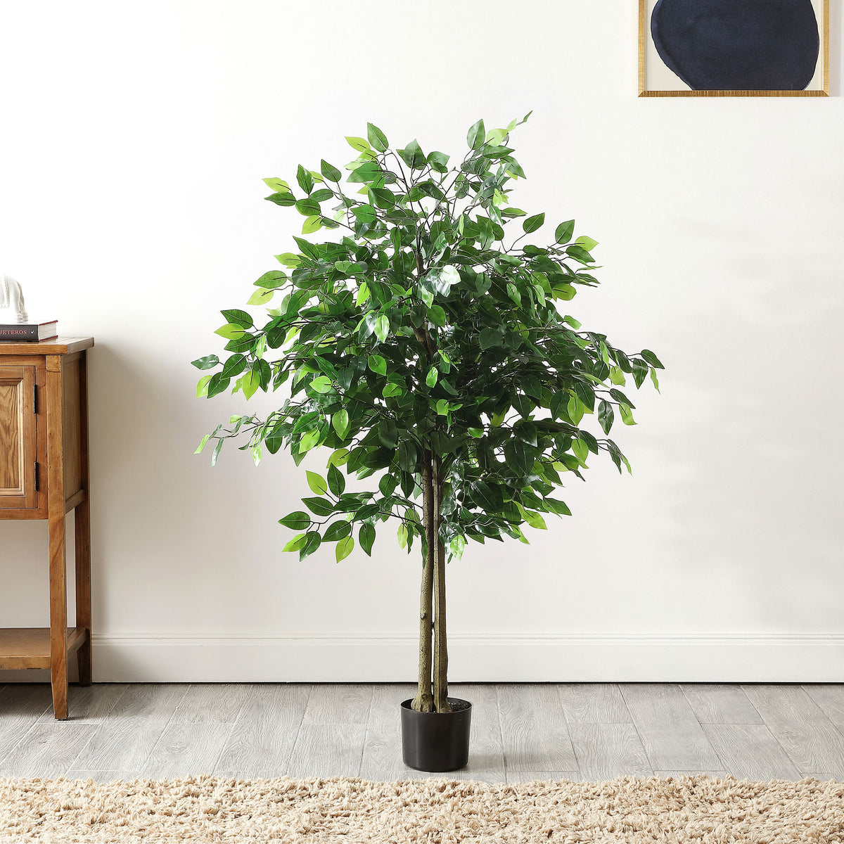 A leafy ficus tree adds generous greenery beside a wood cabinet. || FXP2014A || front_room