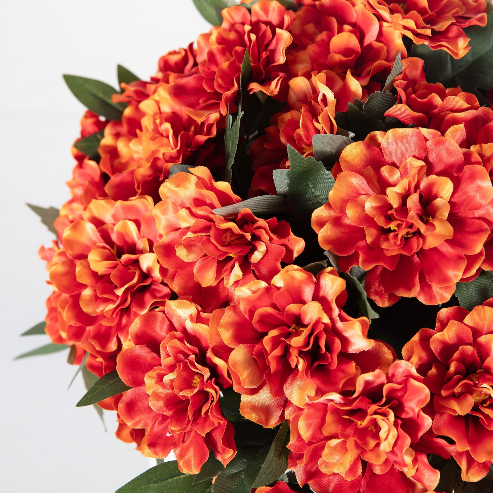 Dense orange-red marigold blooms have layered petals and green leaves. || FXP2030A || detail_studio