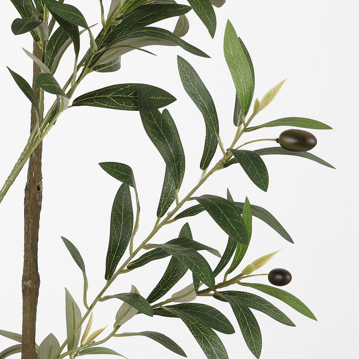 Dark faux olives hang among slender green leaves.