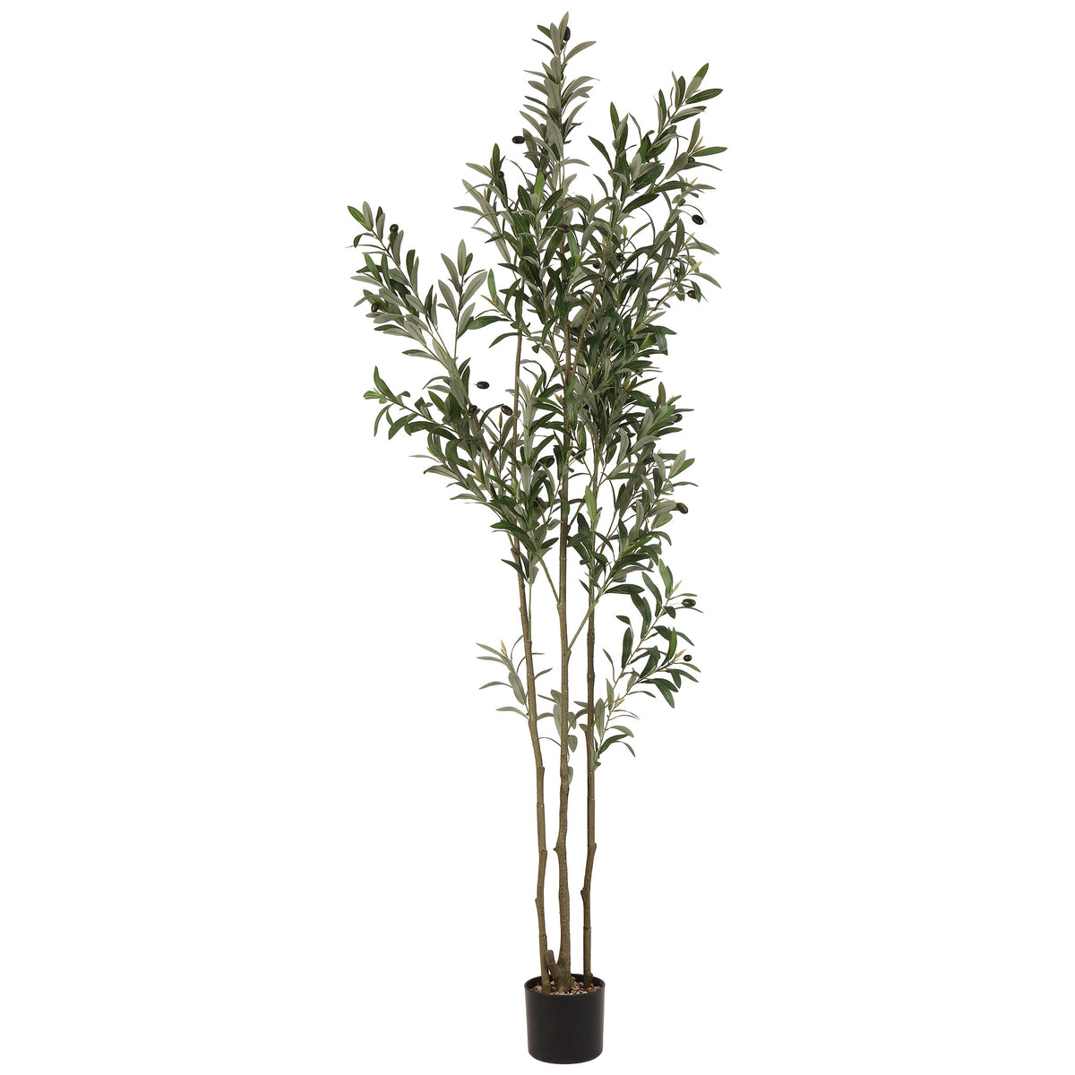 Slender olive branches rise from a compact black planter. || FXP2031A || front_studio