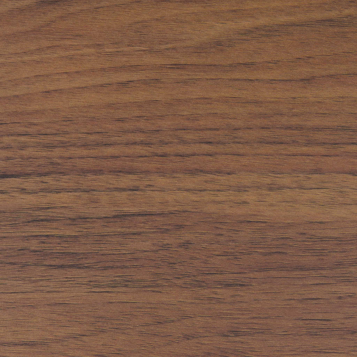 Warm walnut wood grain with natural variation || NST9602A || swatch_studio