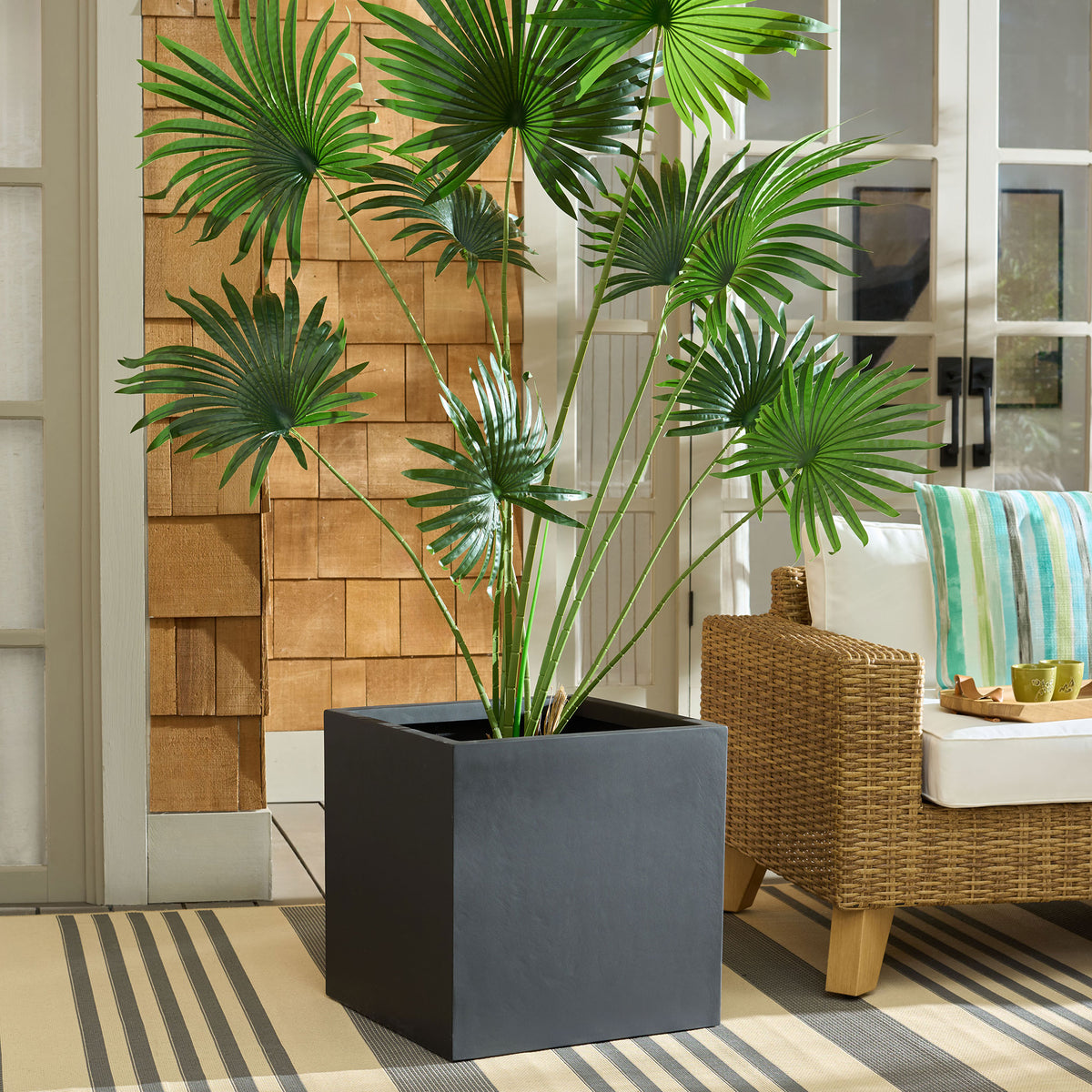 Low black square planter frames a leafy palm beside a woven patio chair || PAT1403A || front_angle_room
