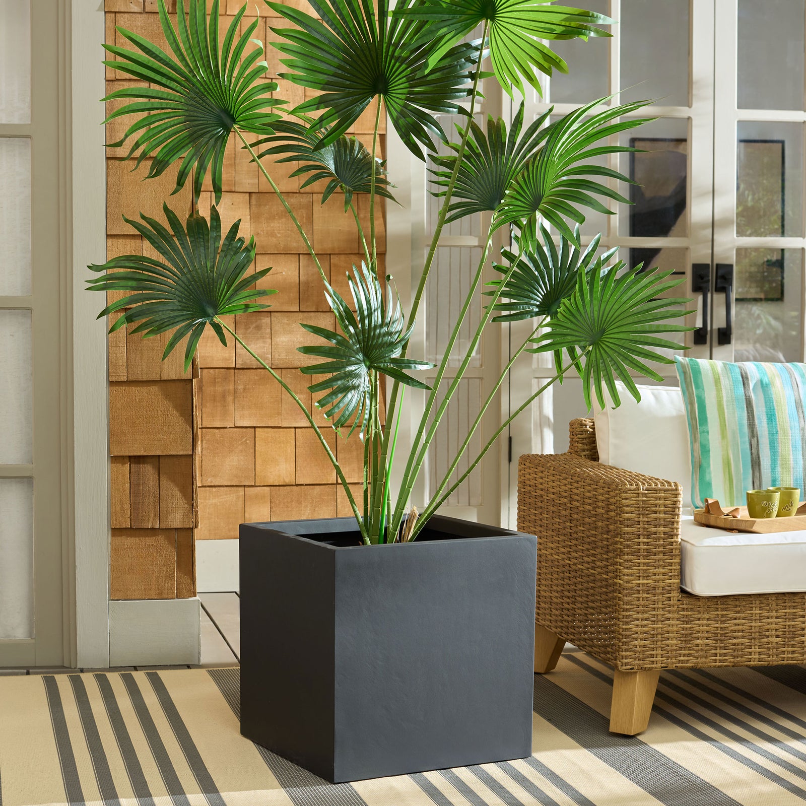 Low black square planter frames a leafy palm beside a woven patio chair || PAT1403A || front_angle_room