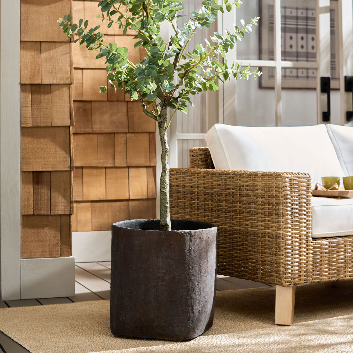 A leafy tree fills the brown square planter beside wicker seating. || PAT1408A || front_room