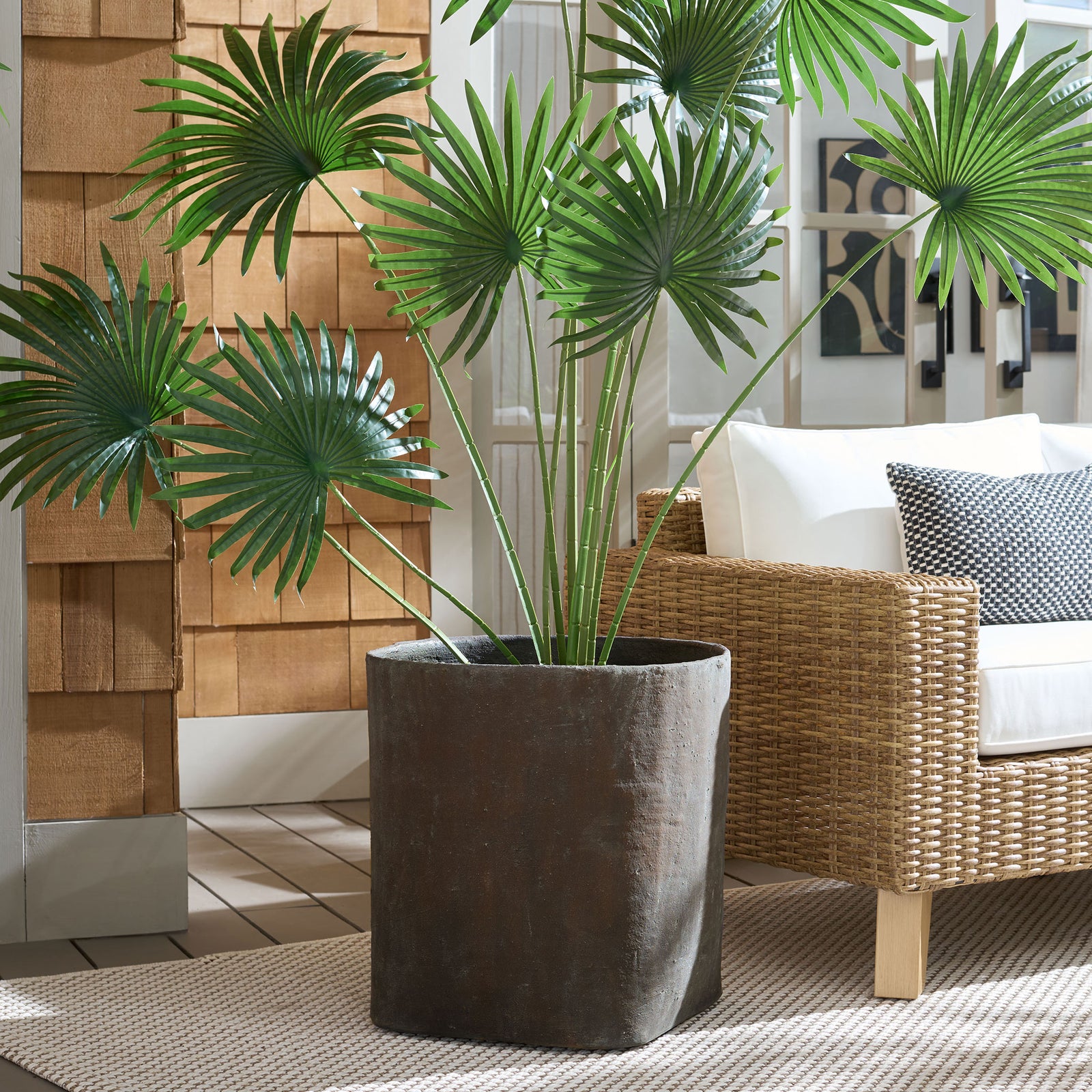 Fan-shaped green leaves rise from the large brown square planter near wicker seating. || PAT1409A || front_room