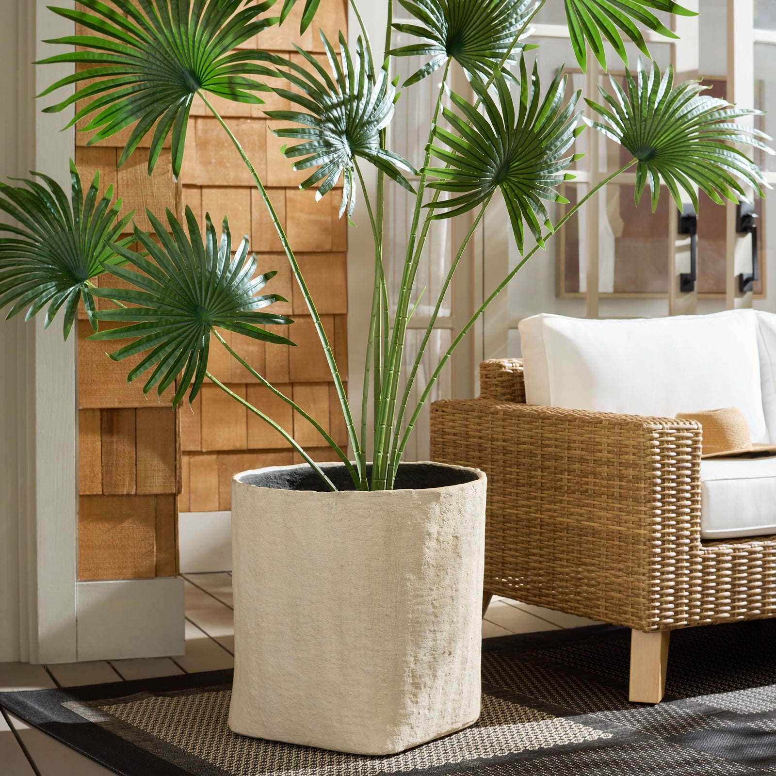 Broad fan-shaped leaves rise from the large beige square planter beside wicker seating. || PAT1409B || front_room