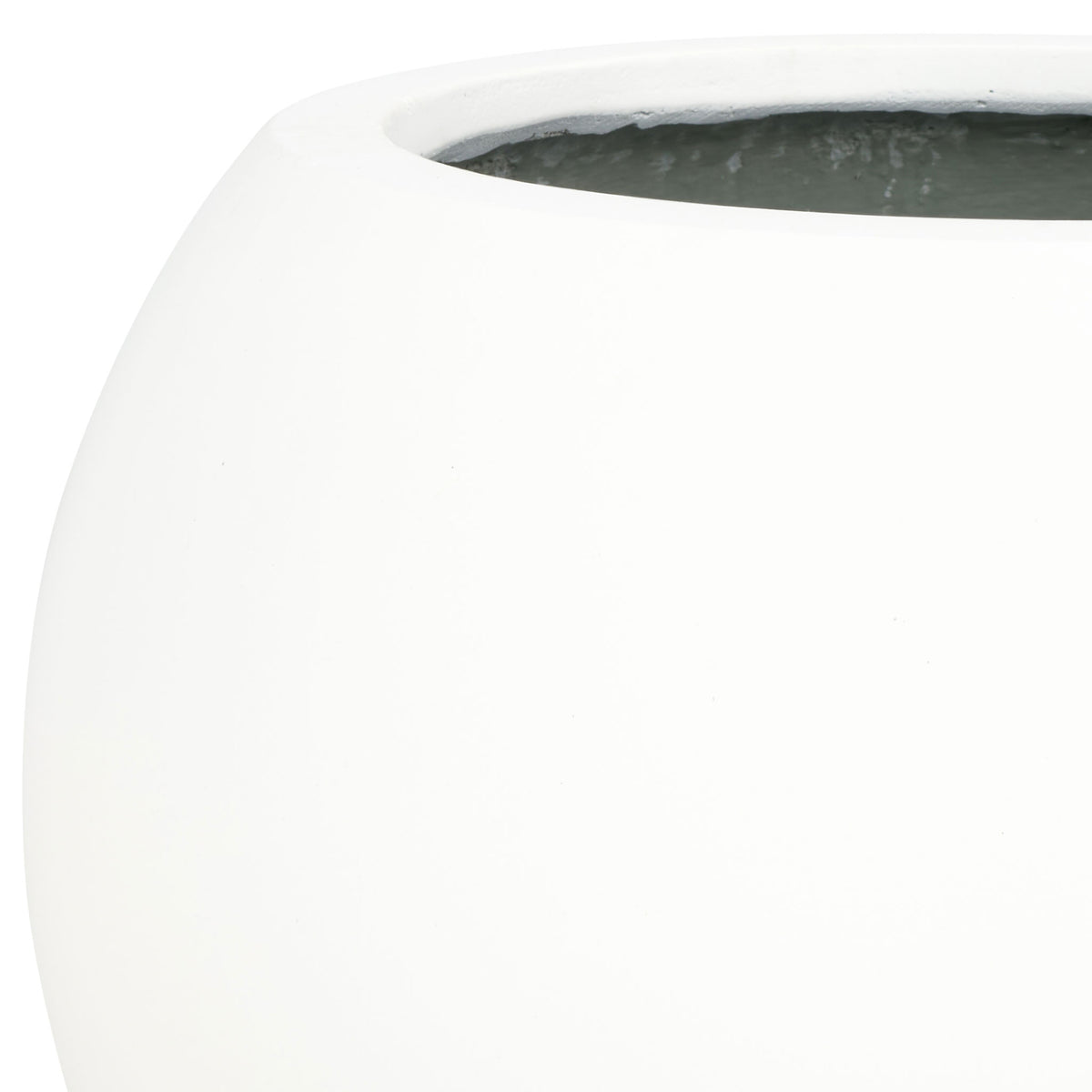 The large white planter combines a gently curved wall with a broad, clean-lined rim.