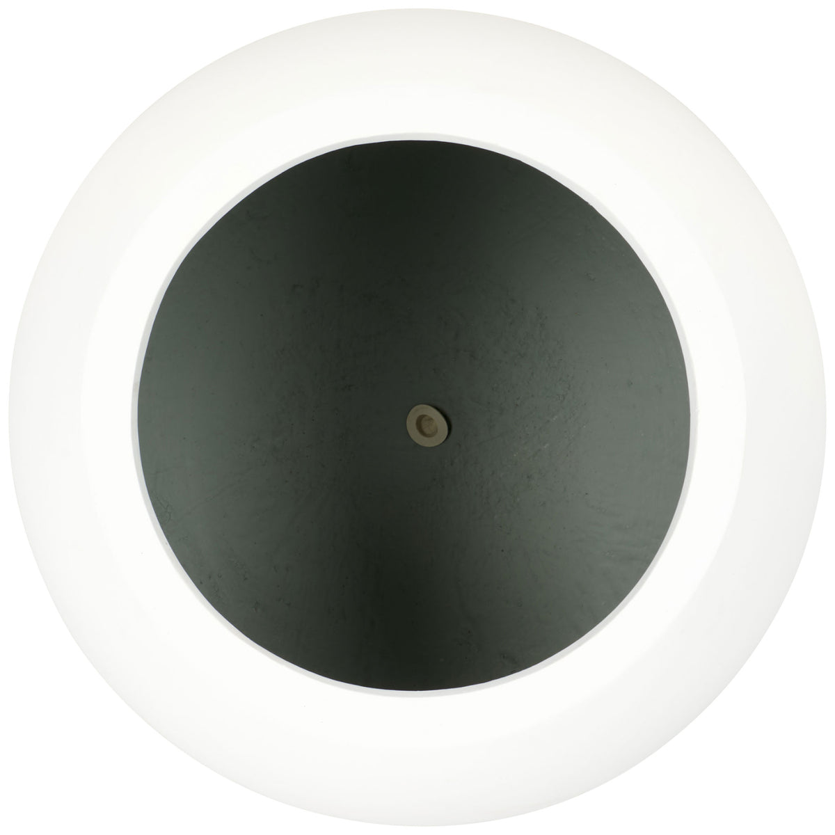 The large white planter's broad rim frames a dark interior and central drainage hole. || PAT1519C || top_studio