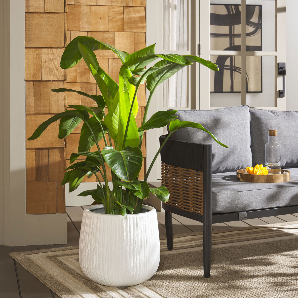 Lush greenery rises from a white textured planter beside a cushioned seat
