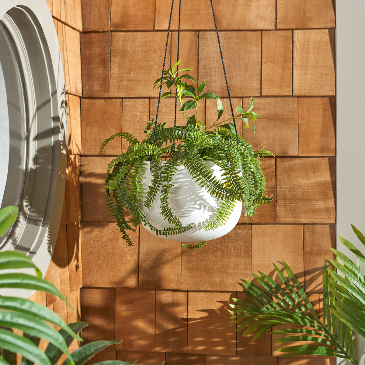 Leafy ferns spill over a white hanging bowl against warm wood paneling. || PAT1527C || front_room