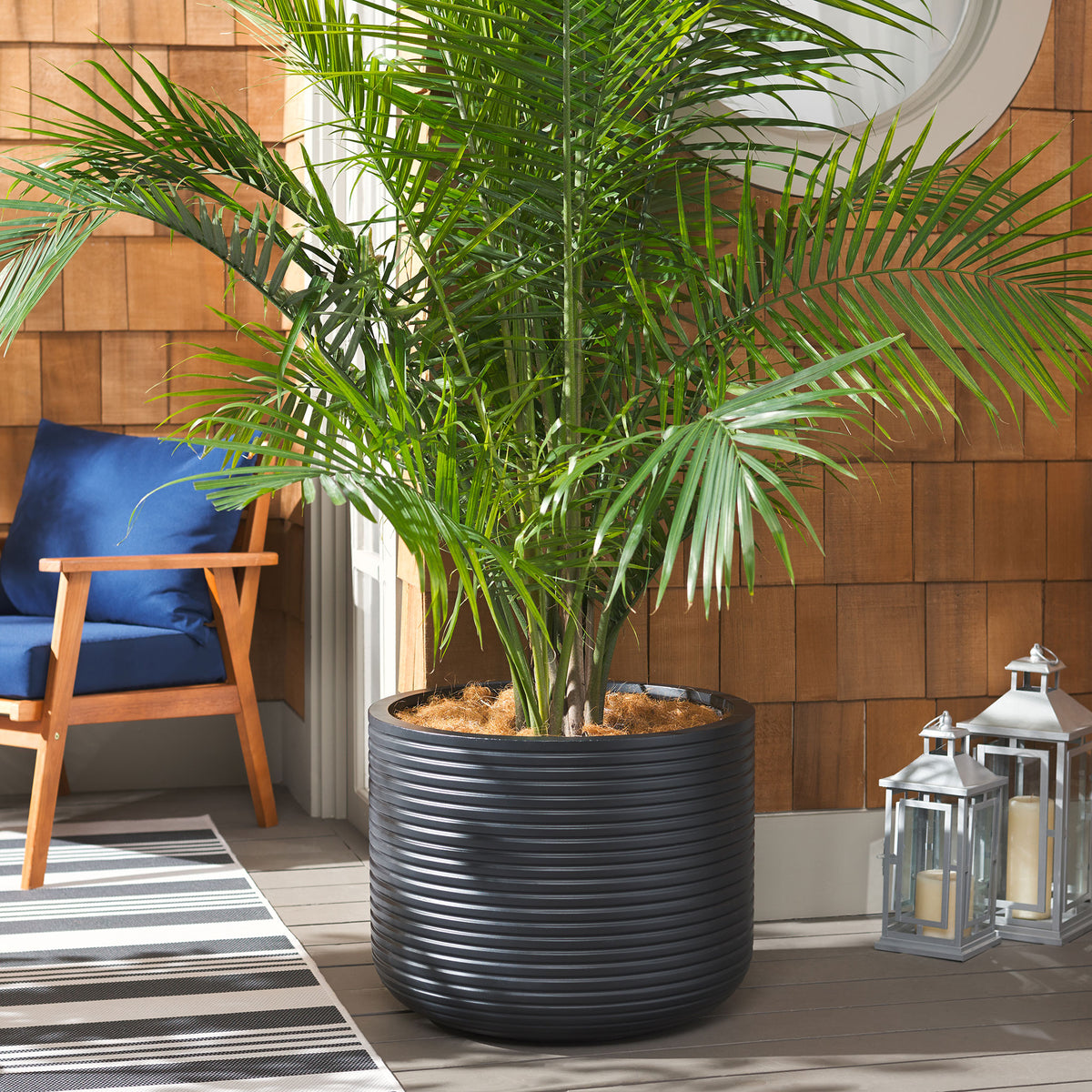 A large black ribbed planter anchors a leafy palm display in a relaxed outdoor seating area