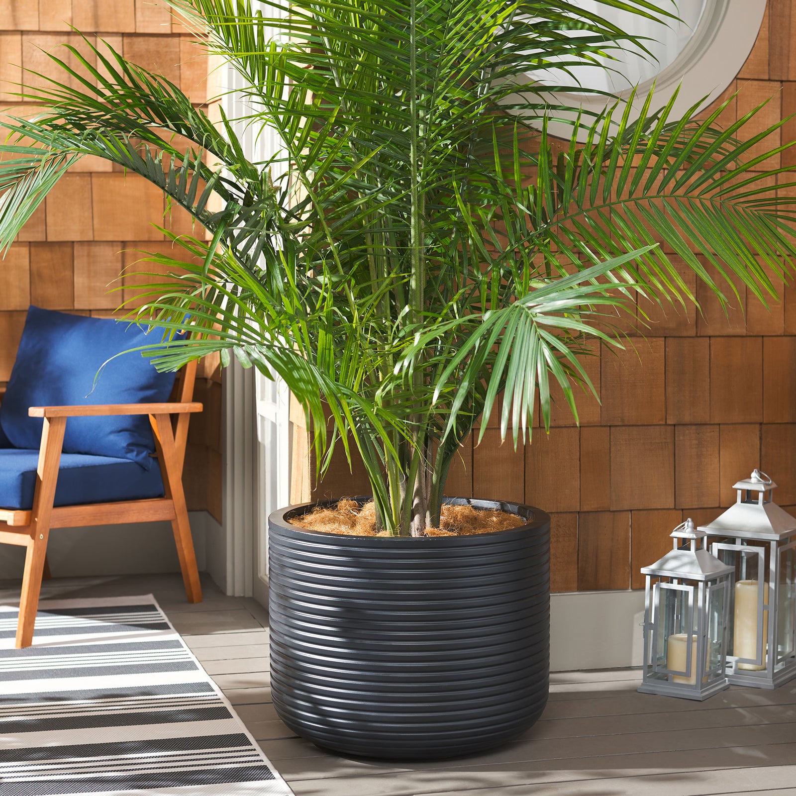 A large black ribbed planter anchors a leafy palm display in a relaxed outdoor seating area || PAT1531A || front_angle_room