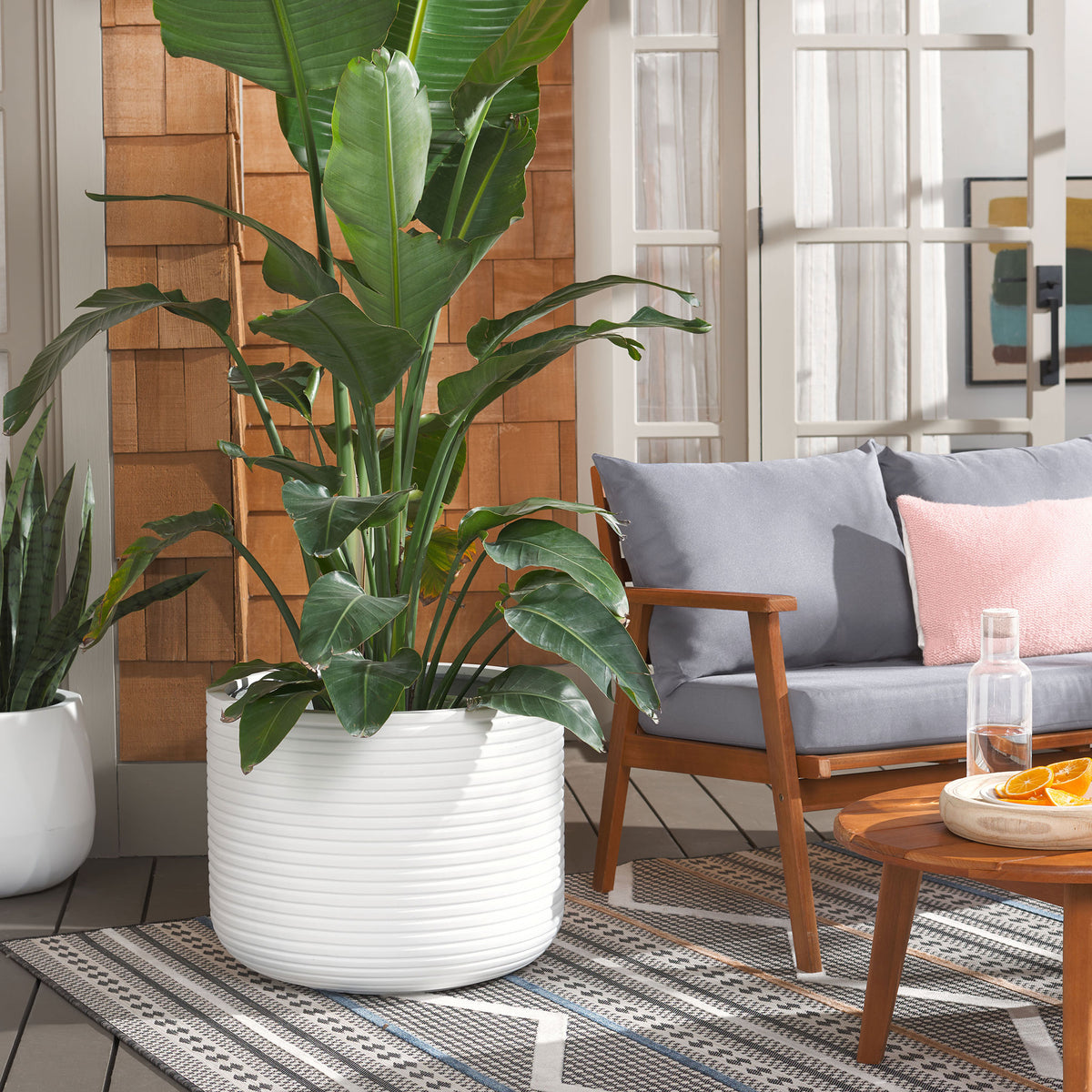 A generous white ribbed planter brings lush tropical foliage to a welcoming outdoor seating area || PAT1531C || front_angle_room
