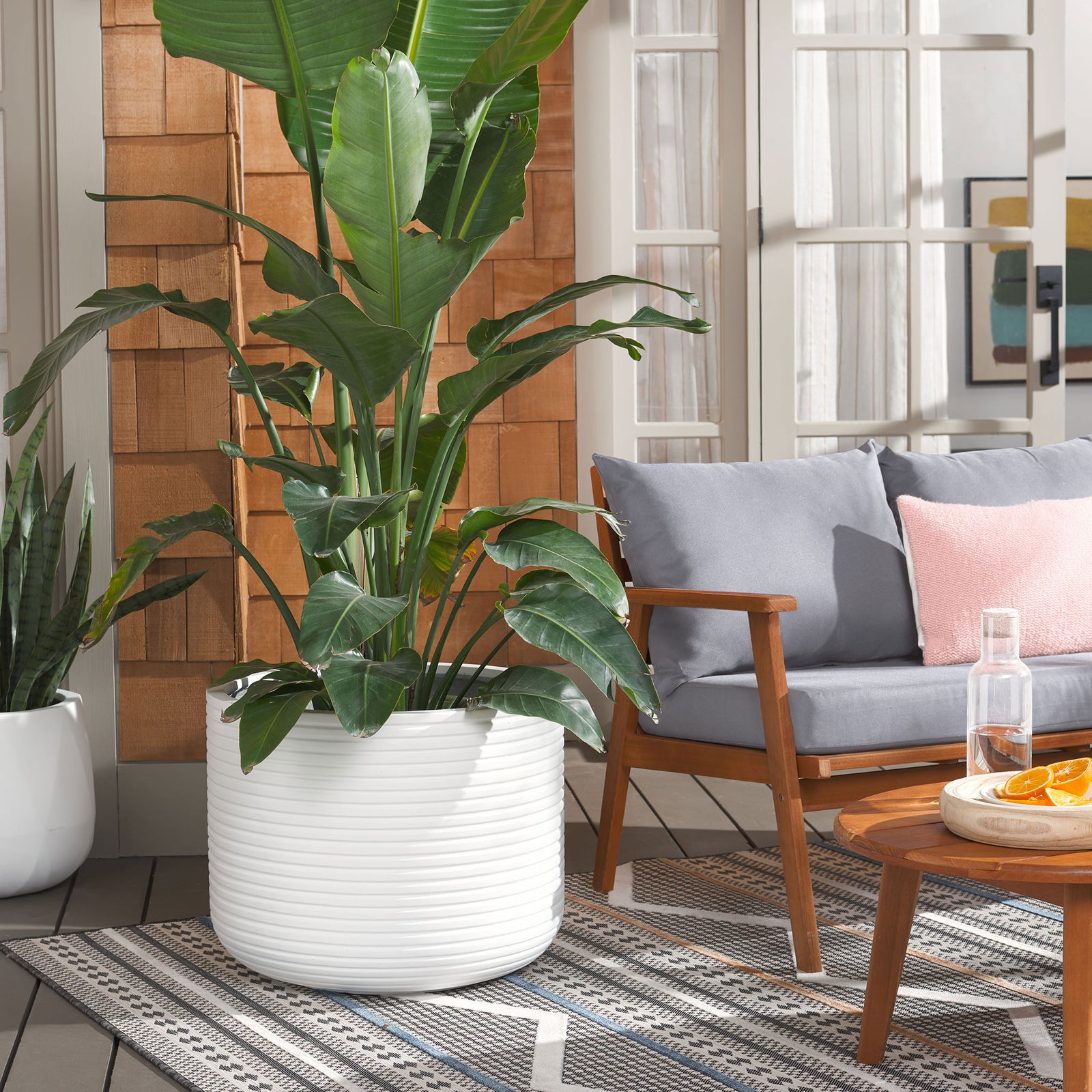 A generous white ribbed planter brings lush tropical foliage to a welcoming outdoor seating area || PAT1531C || front_angle_room
