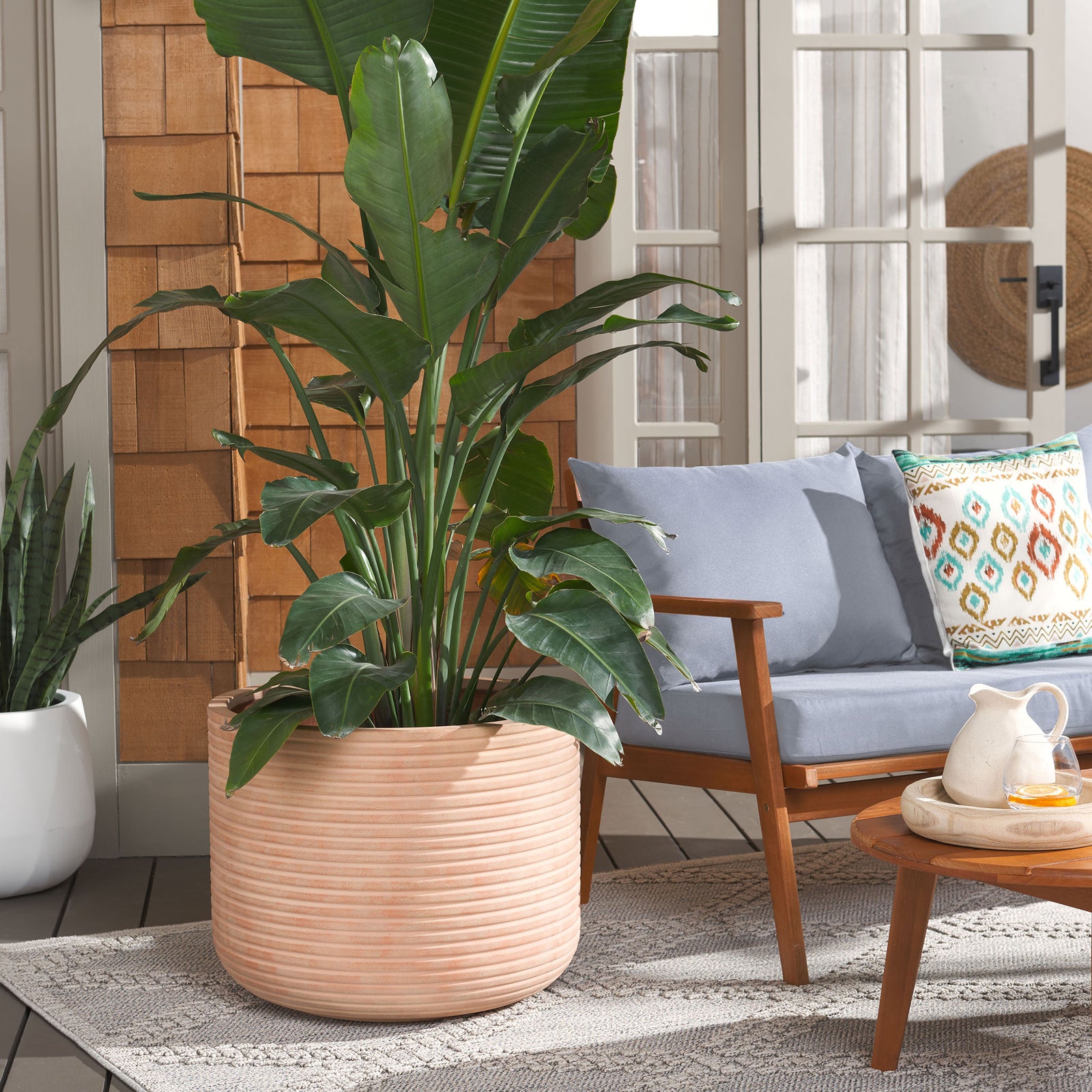 A large terracotta ribbed planter showcases leafy tropical greenery beside an inviting outdoor sofa || PAT1531D || front_angle_room