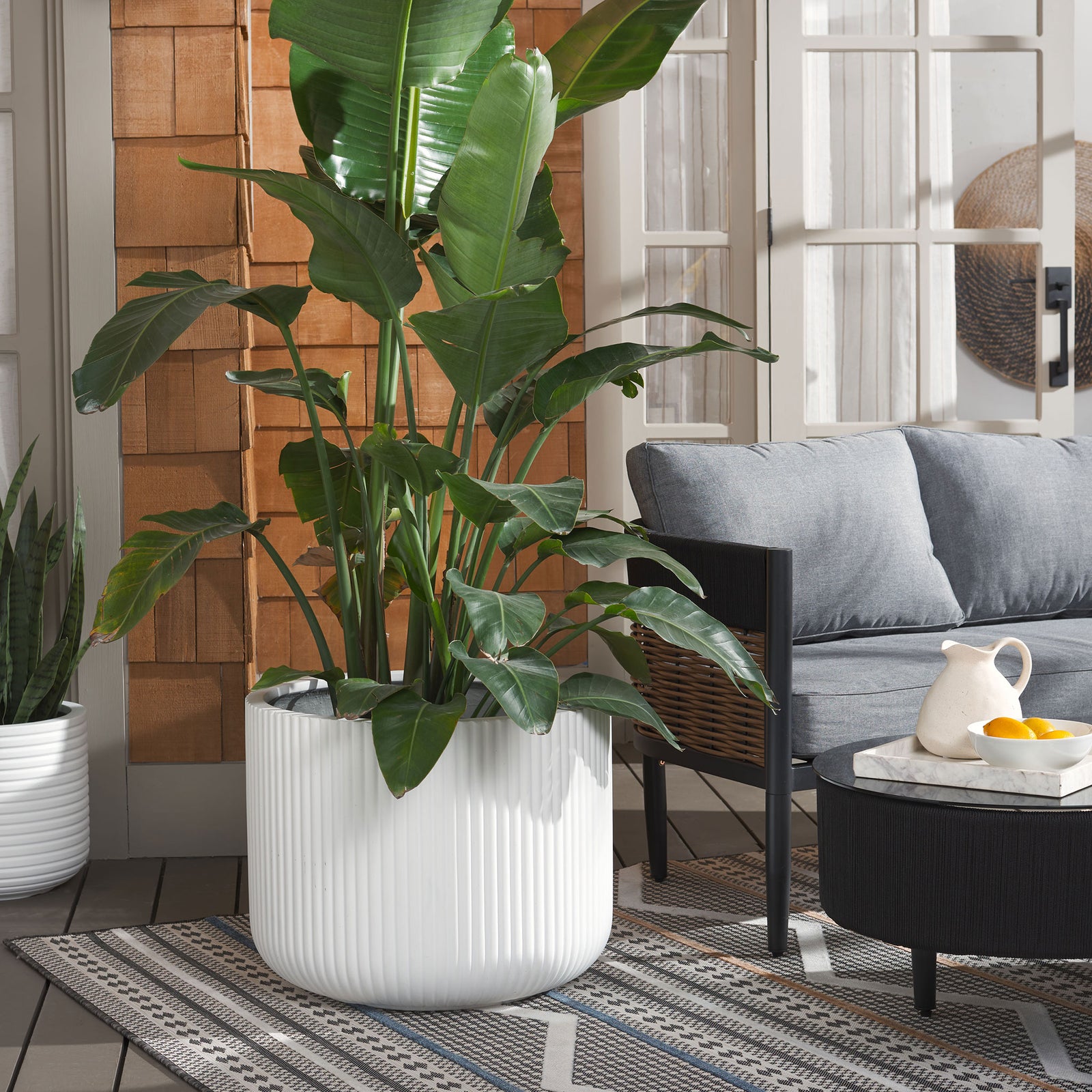 A large fluted white planter brings a crisp contrast to lush foliage by a gray patio sofa. || PAT1533C || front_angle_room