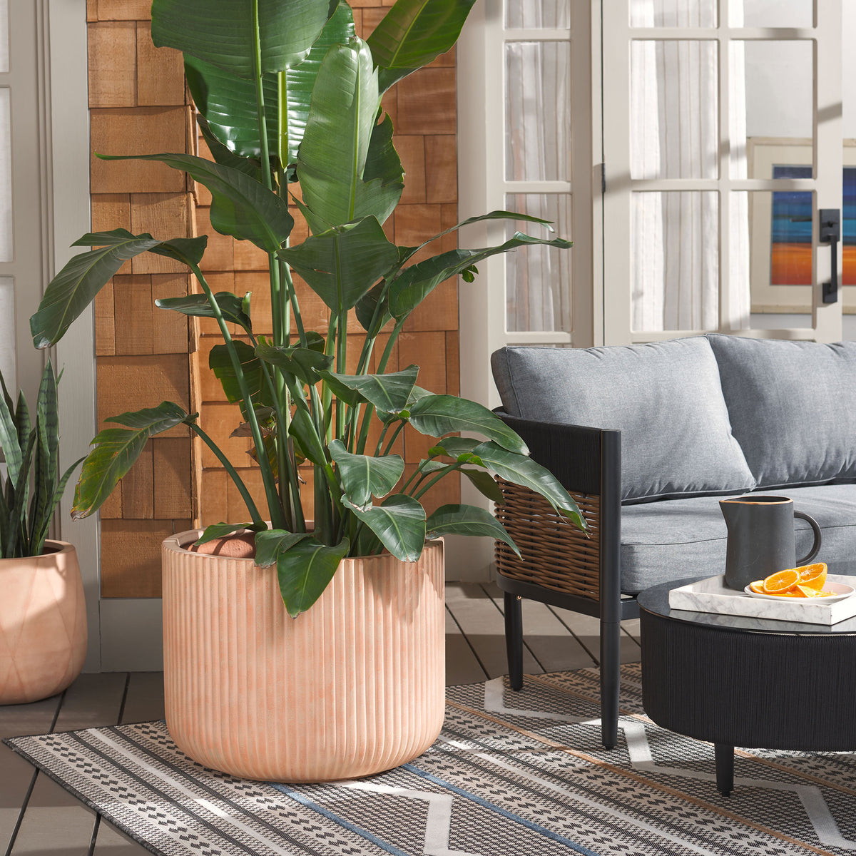 A leafy tropical plant fills a fluted terracotta planter beside a gray outdoor sofa.