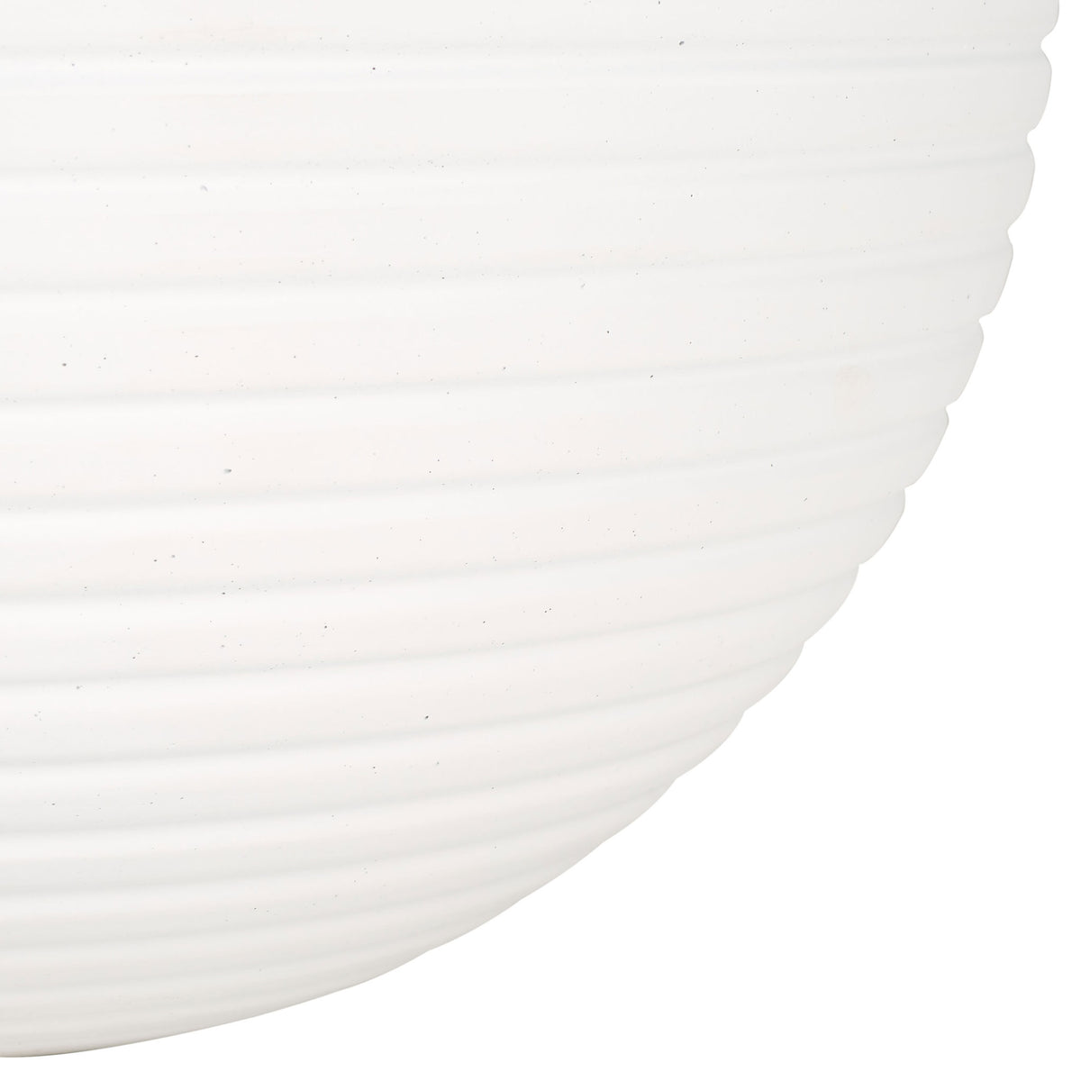 White ribbing continues along the rounded lower curve toward the planter's base.