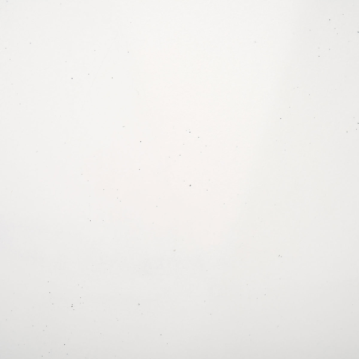 A crisp white finish offers a softly textured backdrop for green plants. || PAT1536C-SET2 || swatch_studio