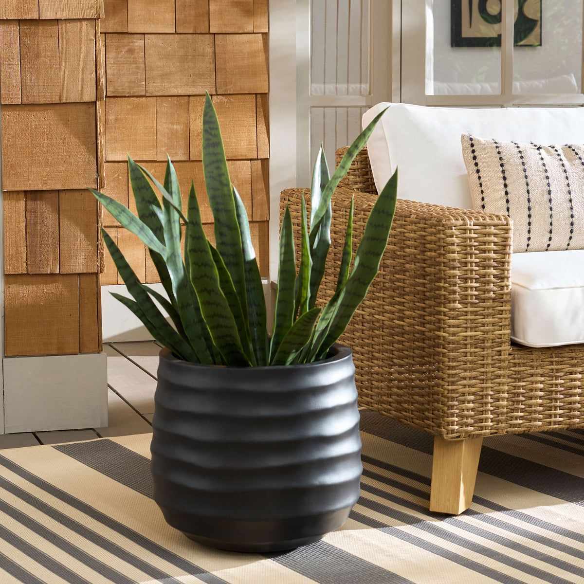 A black rippled planter holds tall green leaves beside a natural woven chair. || PAT1542A || front_room