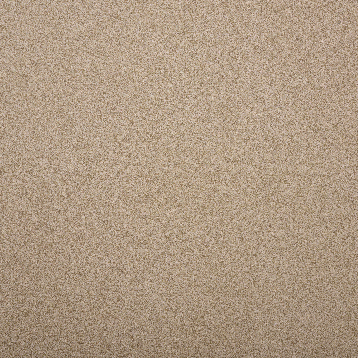 Warm beige tones and fine flecks create a natural, lightly textured surface. || PAT1544B || swatch_studio