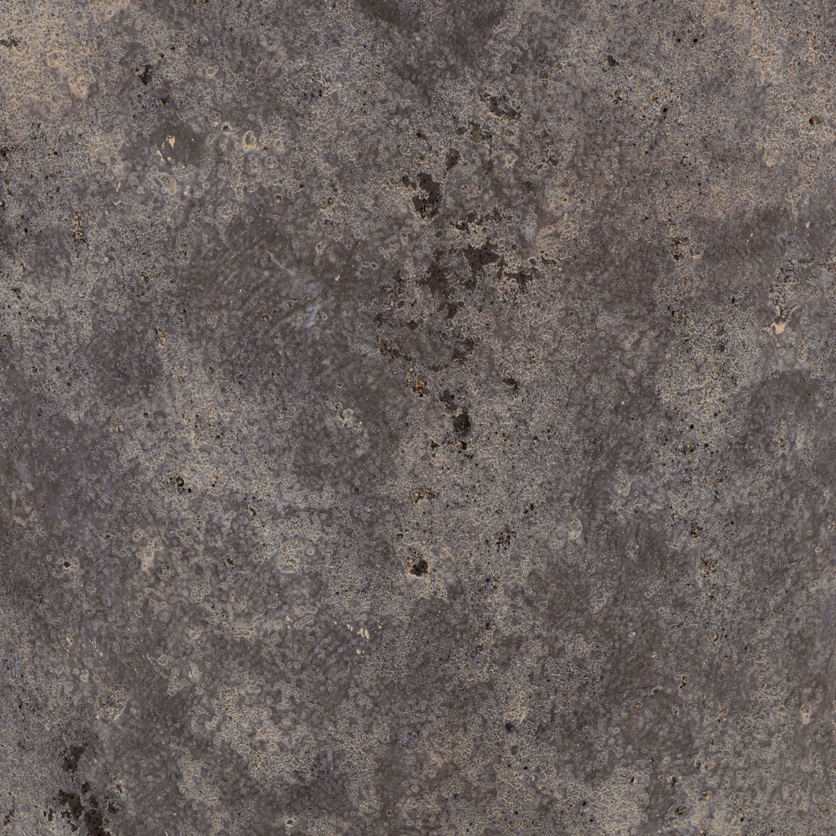 Antique brown ficonstone has a mottled gray-brown finish with rugged, pitted markings. || PAT1549A || swatch_studio