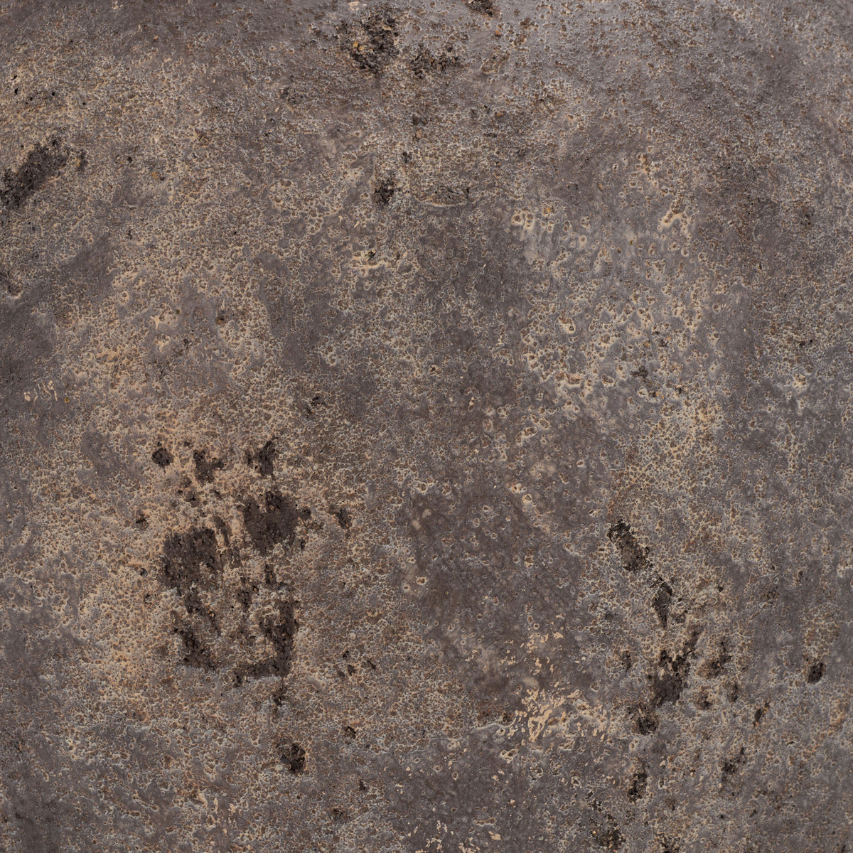 Mottled brown and gray tones create an aged, stone-like texture for an earthy outdoor accent. || PAT1555A || swatch_studio