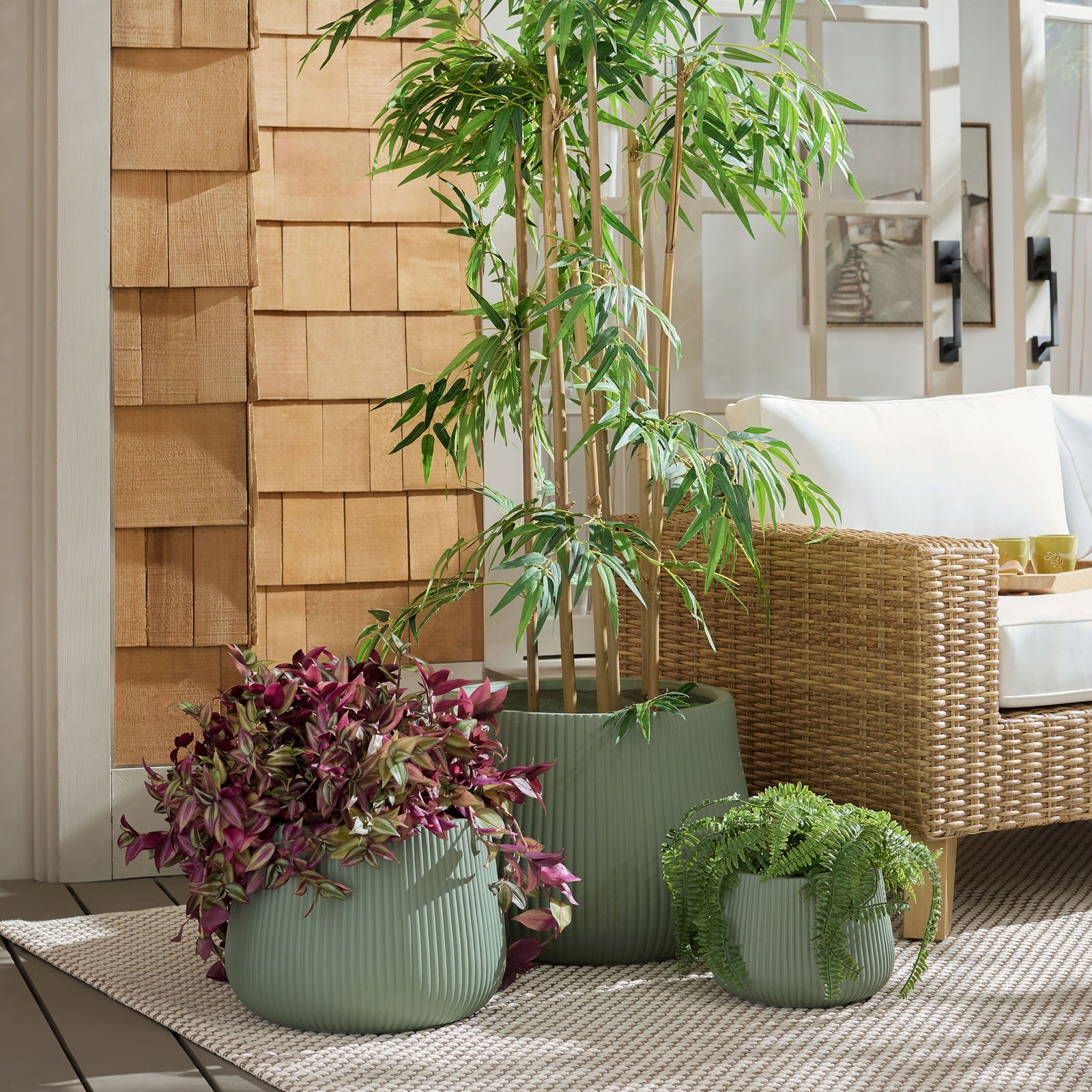 Sage green planters frame a leafy tree, purple foliage, and a fern beside a woven chair || PAT4601C-SET3 || front_room