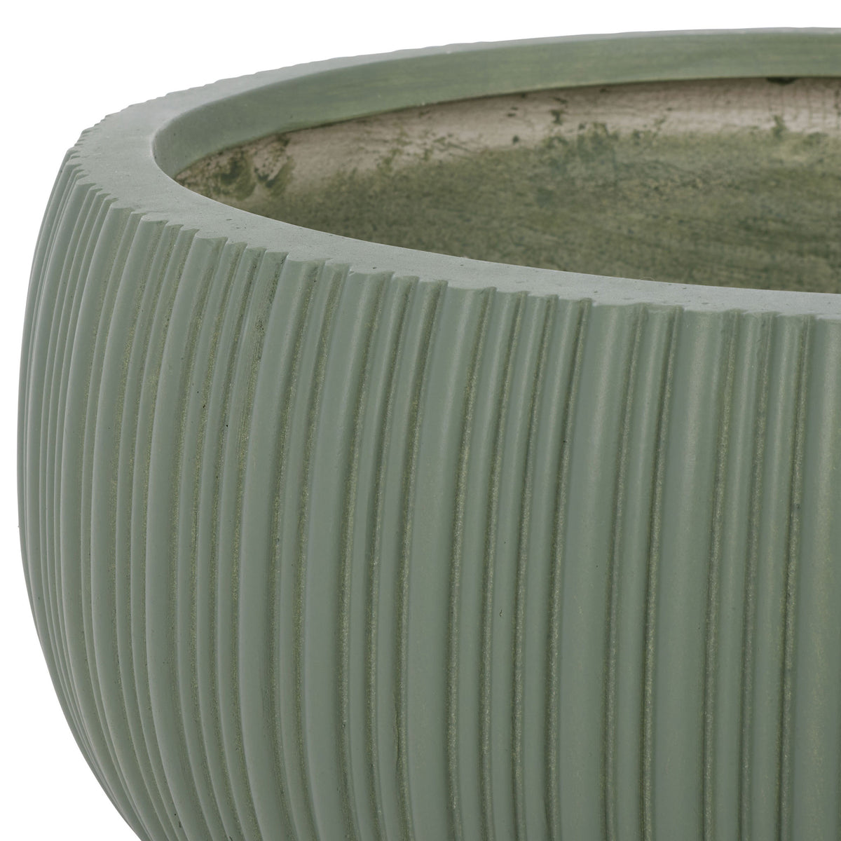 A muted green rim edges the rounded planter, with crisp ribs extending down its sides.
