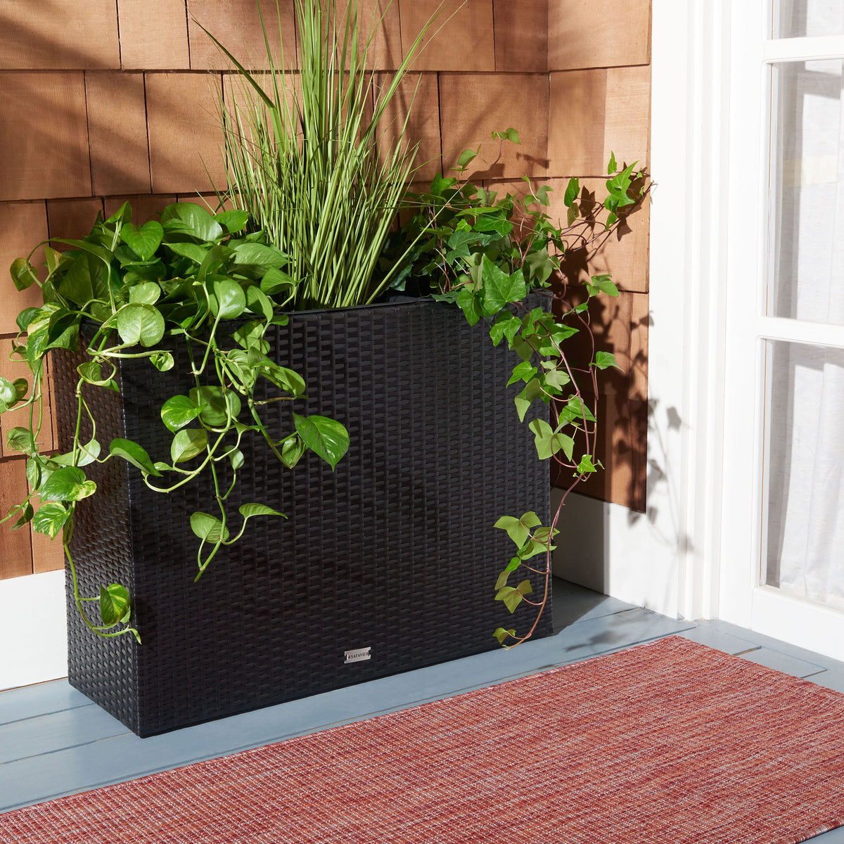Trailing greenery softens the clean lines of a tall black wicker planter. || PAT7705A || back_room