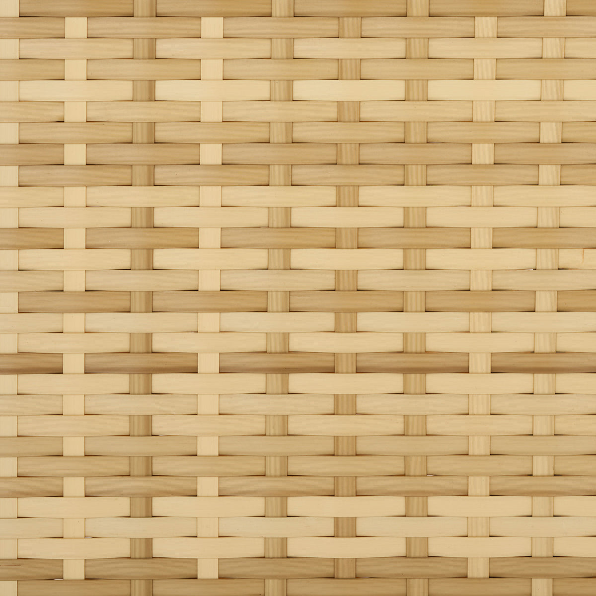 Warm honey and tan wicker strands interlace in a neat basket weave. || PAT7705D || swatch_studio