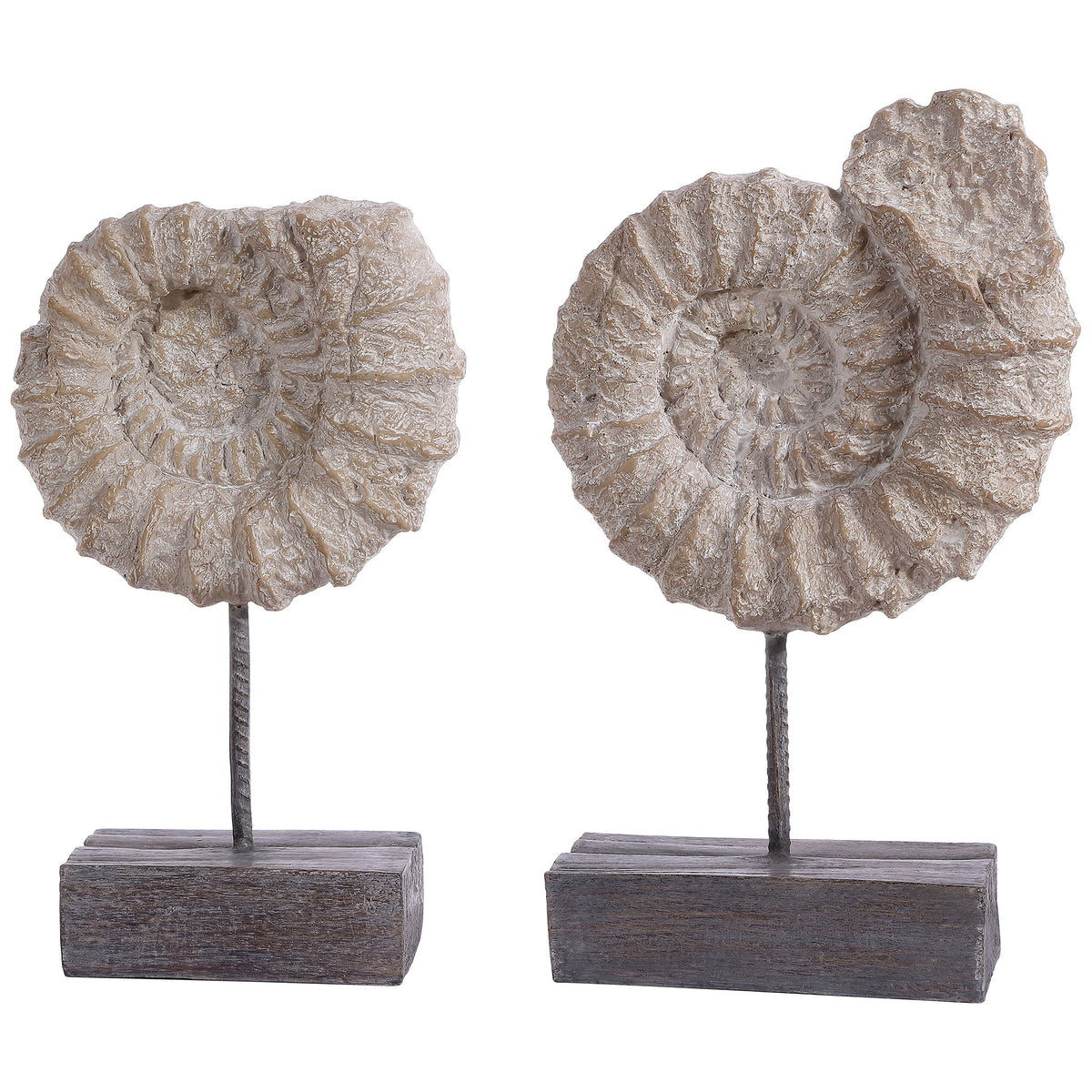 Large and small ammonite-inspired sculptures feature ridged spirals, slender stems, and dark bases. || RDC1208A-SET2 || front_angle_studio