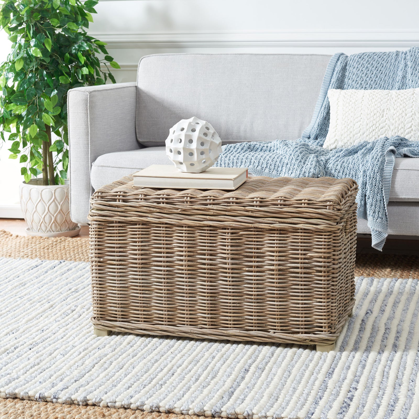 A woven rattan trunk adds concealed storage and a sturdy spot for books and decor beside the sofa. || SEA7018A || front_angle_room