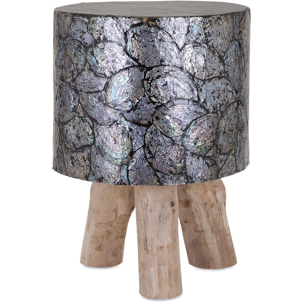 Echo Shell and Teak Wood Stool - Froy.com