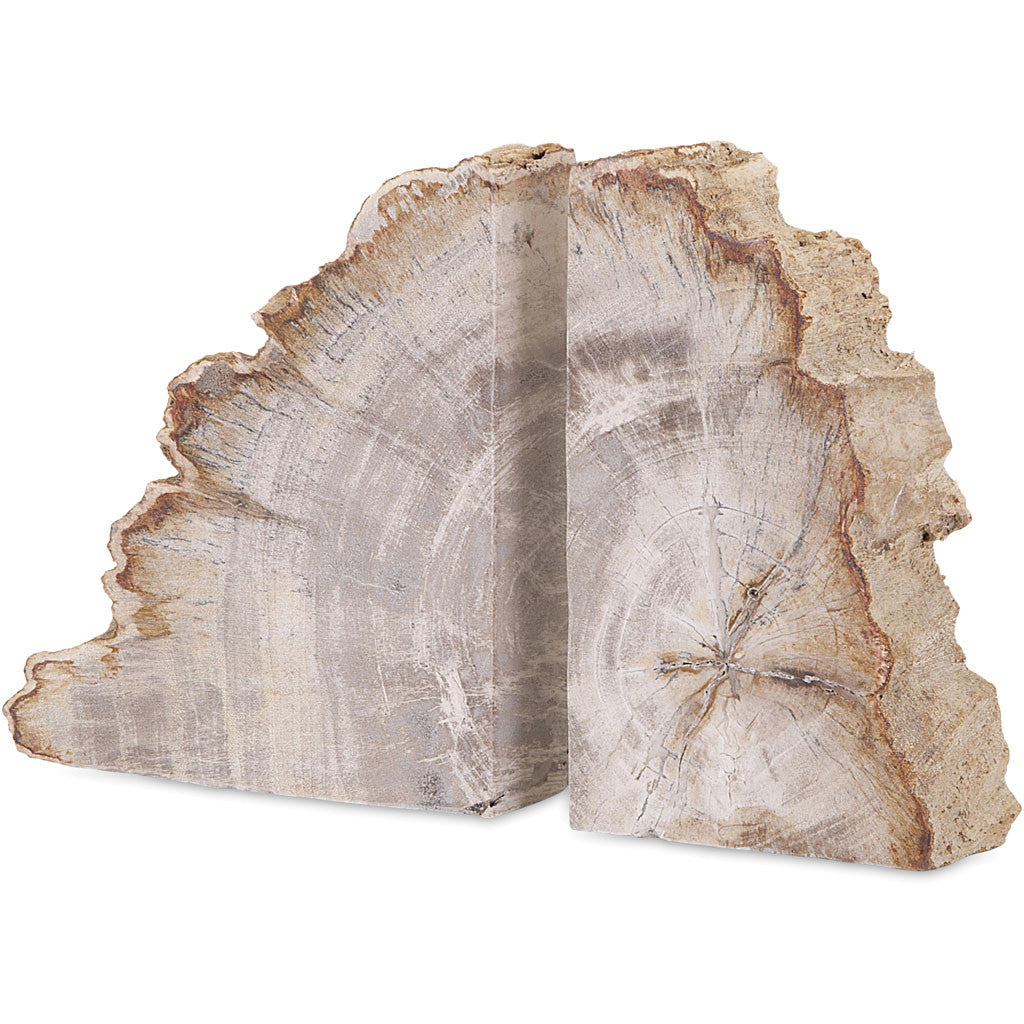 Petrified Wood Bookends