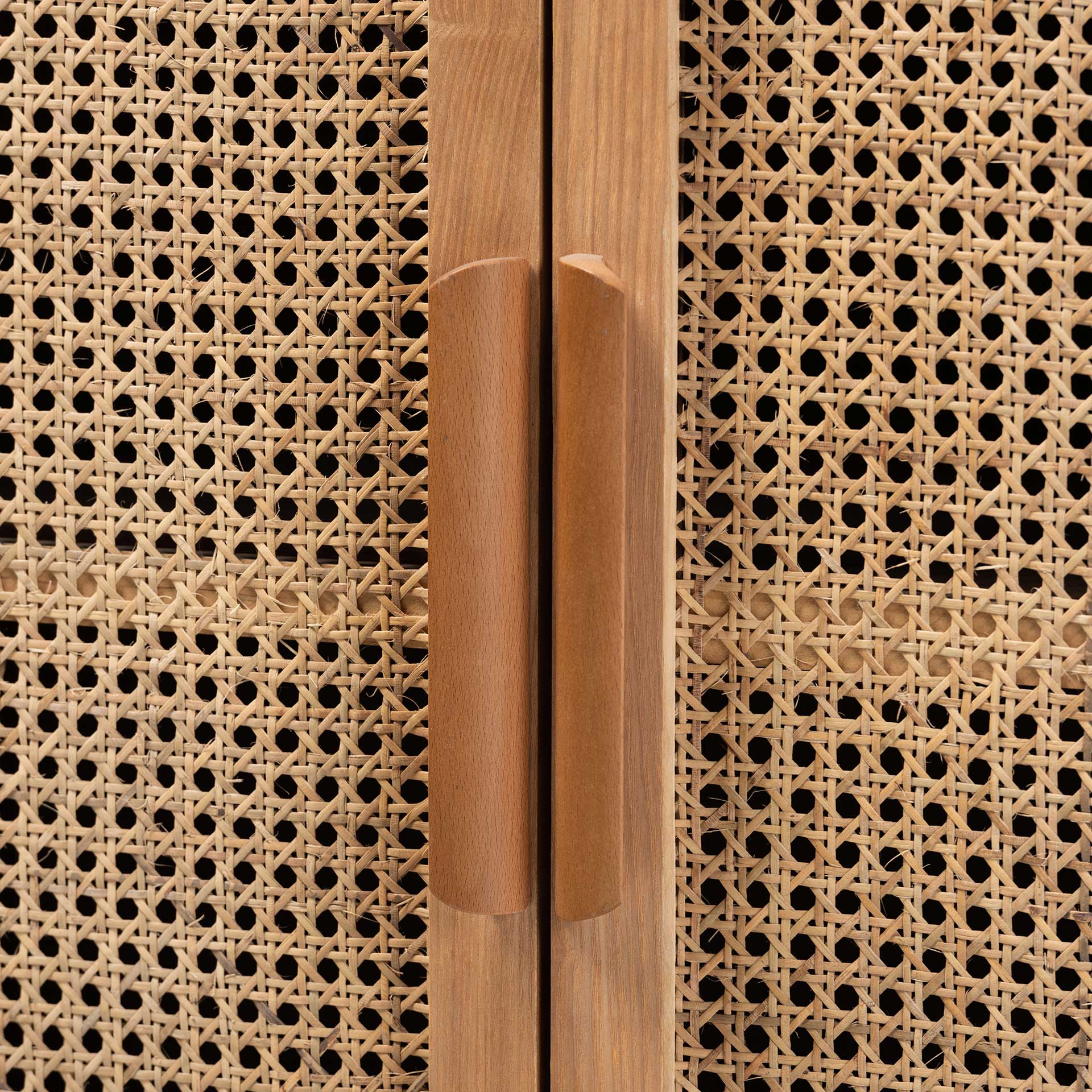 Alyssa 2-Door Storage Cabinet Medium Oak