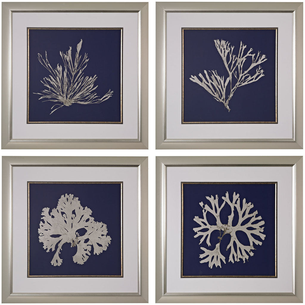 Sea Life On Navy Giclee