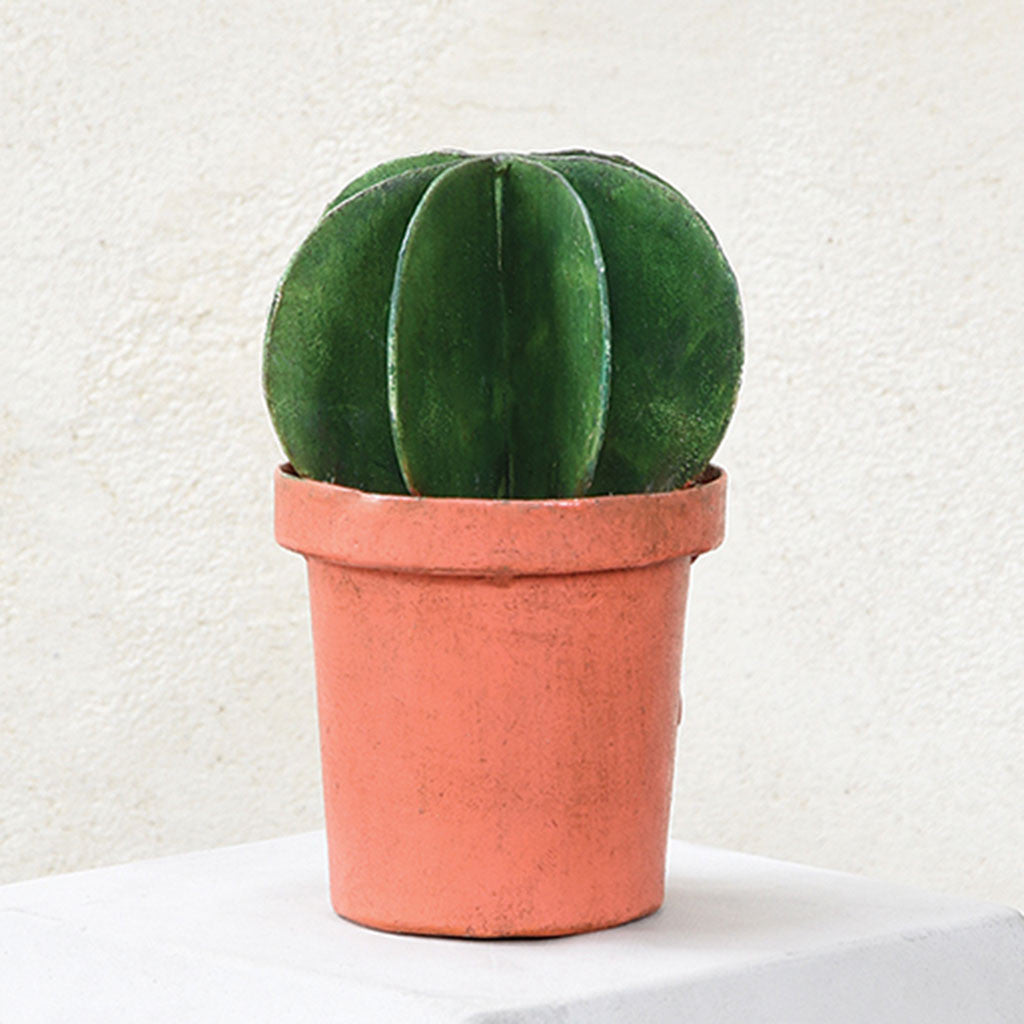 Metal Barrel Cacti