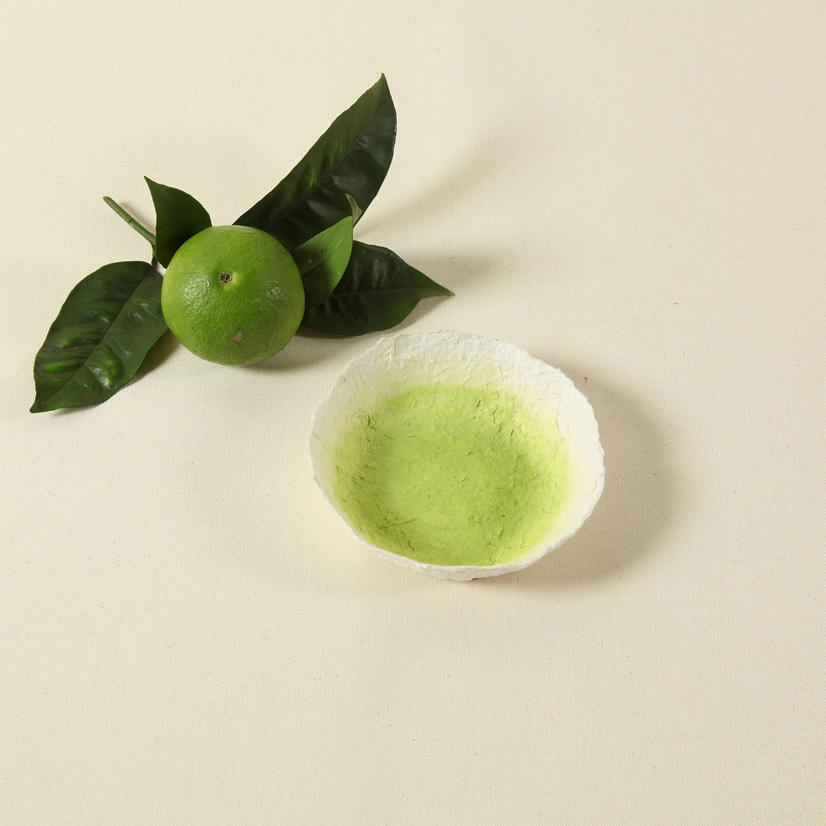 Brooklyn Large Low Bowl Honeydew