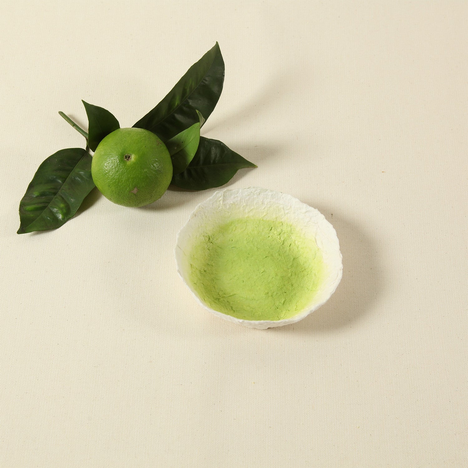 Brooklyn Large Low Bowl Honeydew