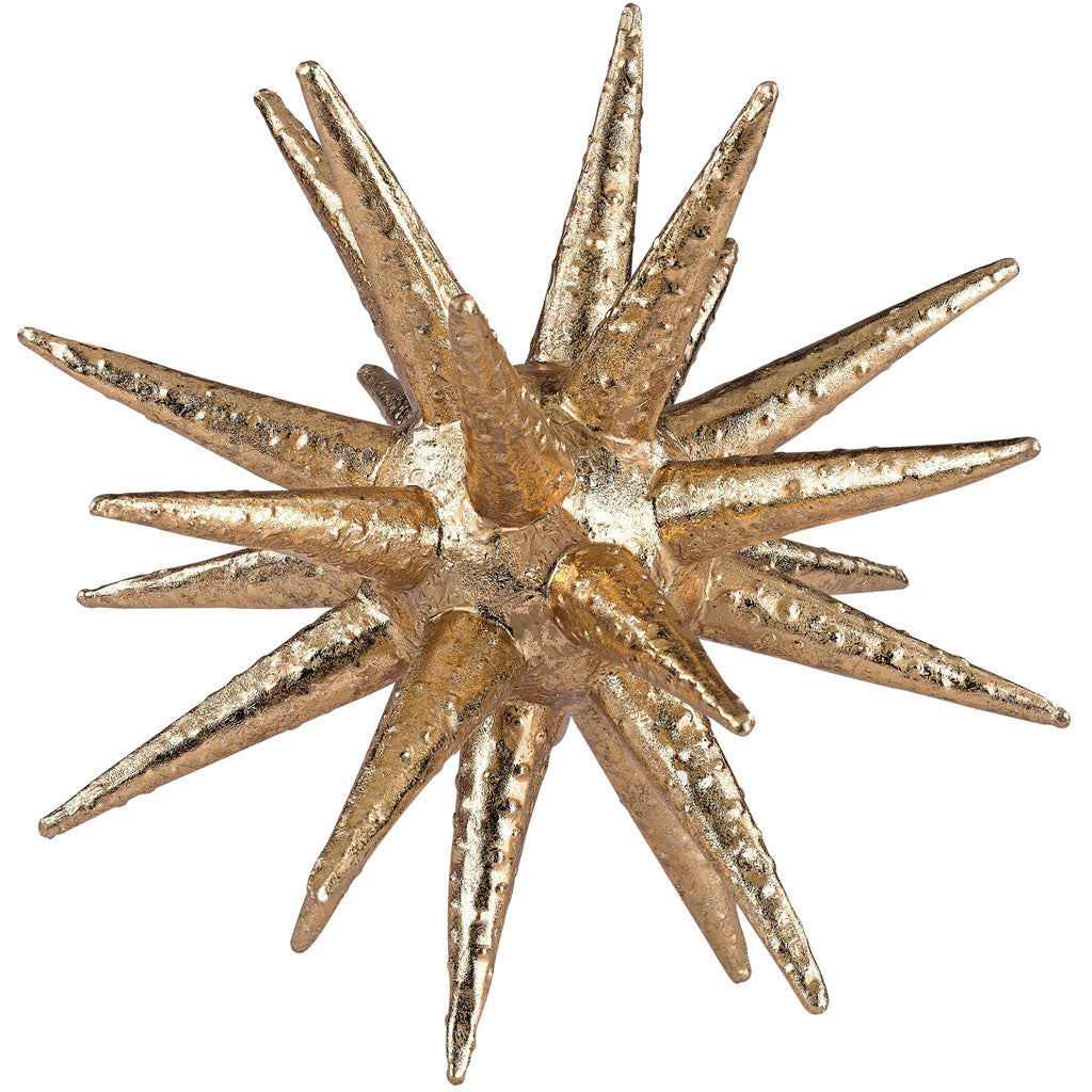 Candor Spiny Urchin