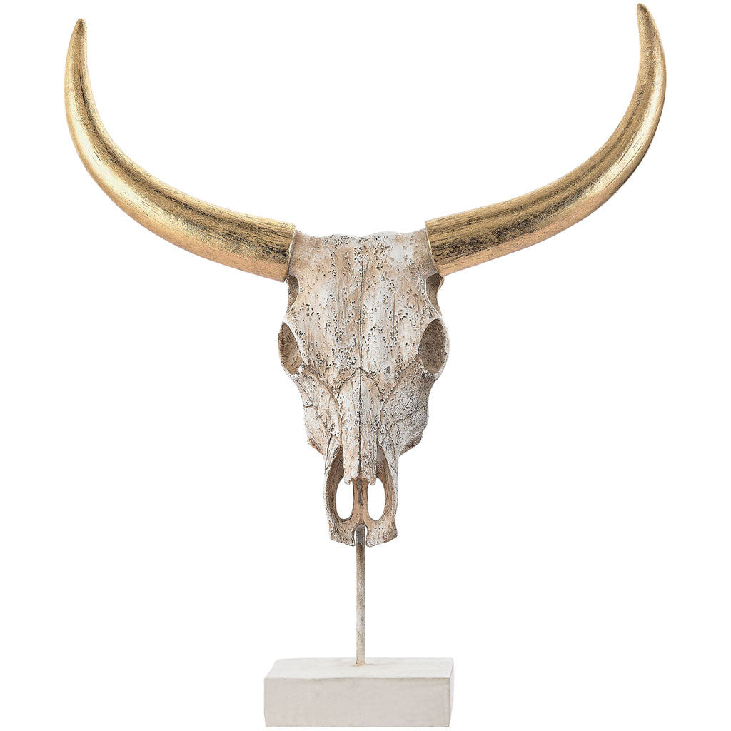 Paul Small Buffalo Skull