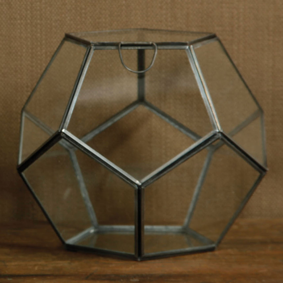 Pollux Faceted Terrarium
