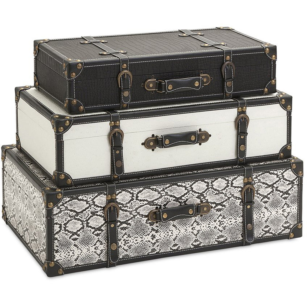 Aiken Storage Trunks (Set of 3)
