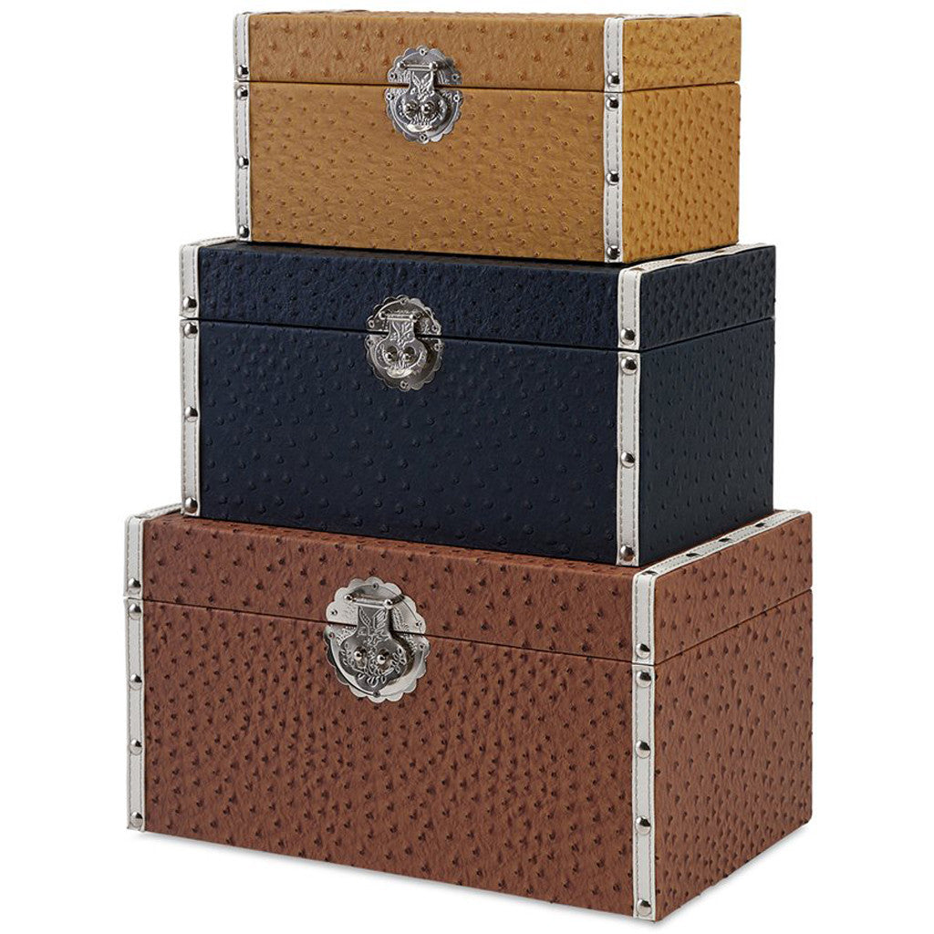 Champaign Trunks (Set of 3)