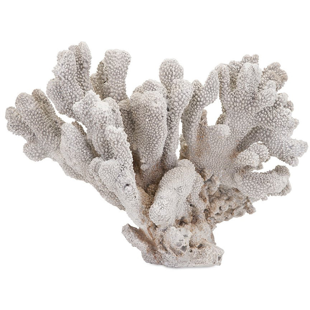 Piatt Coral